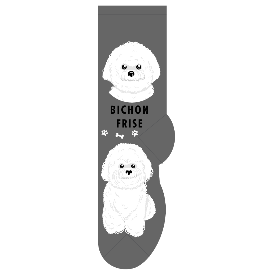 Bichon Fris