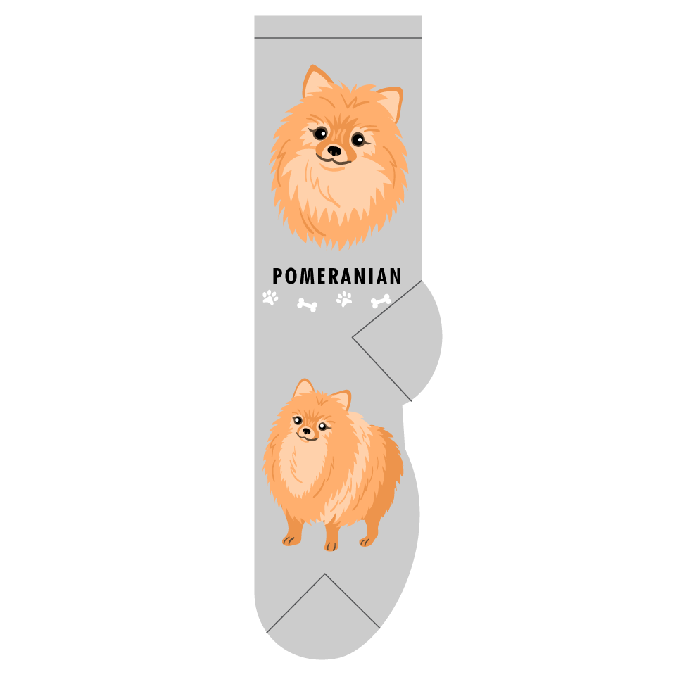 Pomeranian